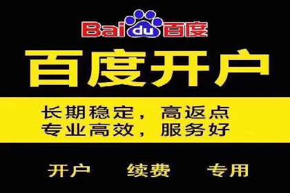 百度竞价广告的投放技巧及优化方法——以某品牌为例
